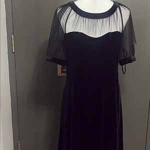 Maggy London Illusion Black Dress with Sheer Sleeves